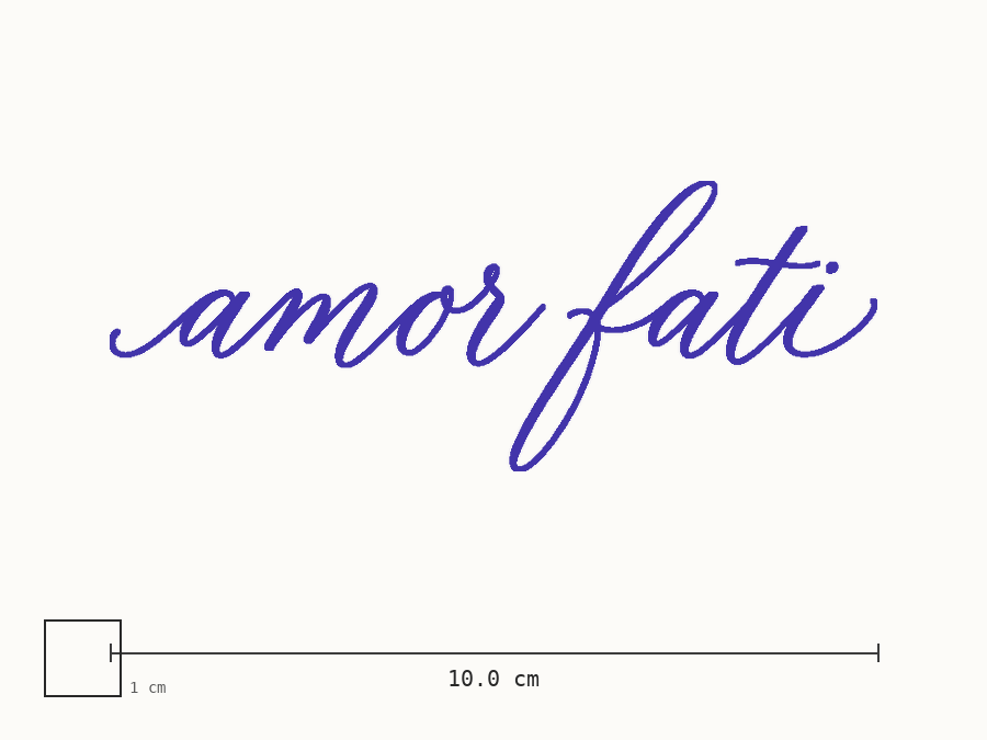 “amor fati” in script transfer stencil at 10 cm wide